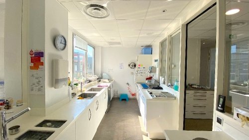 Espace Sterilisation